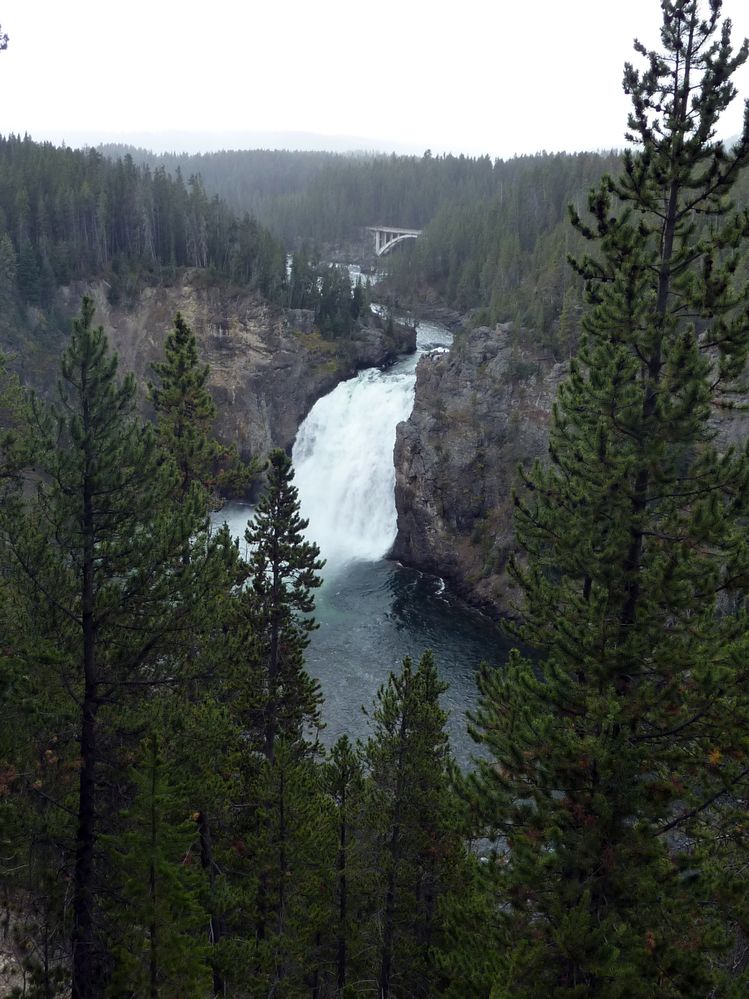 Canyon village Upper fall (2).JPG